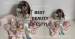 best beauty lifestyle