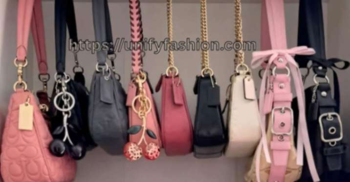 stylish fashion accessories